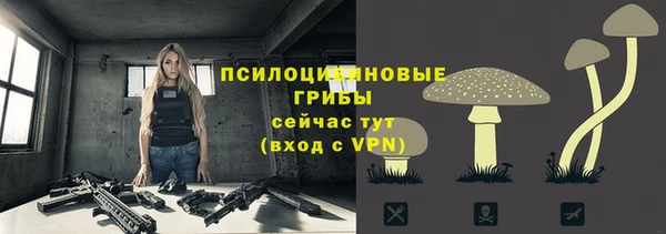 индика Баксан