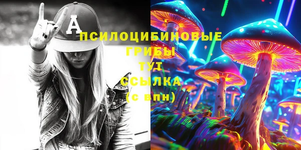 индика Баксан