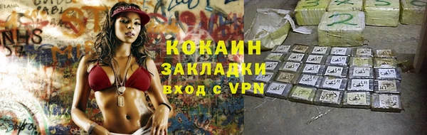 индика Баксан